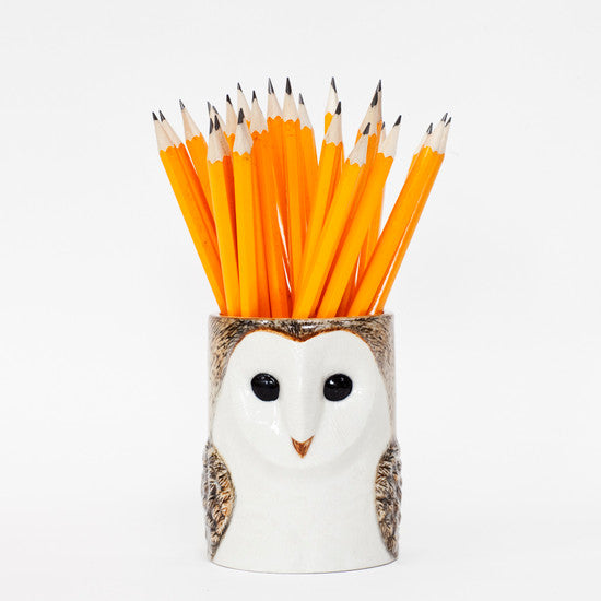 Animal Pencil Pots - Barn Owl