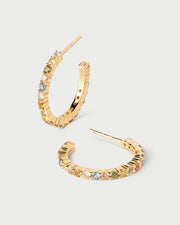 PDPaola Rainbow Large Hoop Earrings