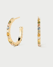 PDPaola Rainbow Large Hoop Earrings
