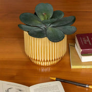 Ridged Plants Pots