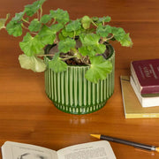 Ridged Plants Pots