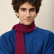 Eldon Cashmere Scarves