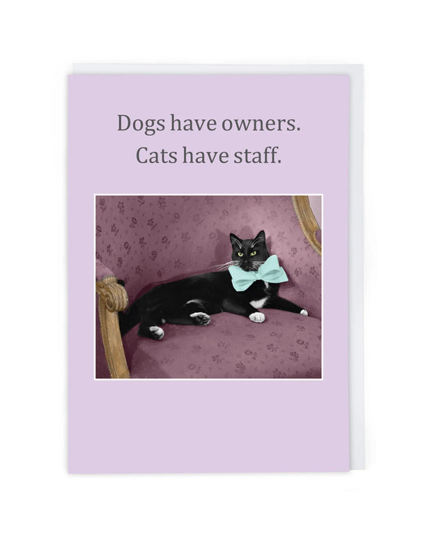 Cath Tate Cats Have Staff Card