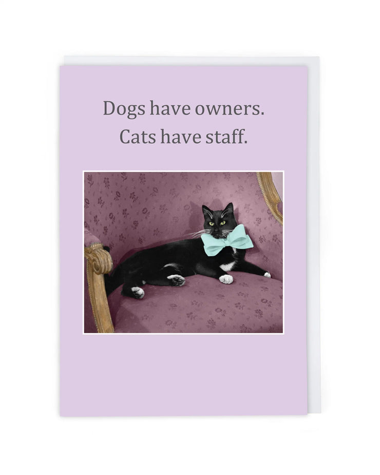 Cath Tate Cats Have Staff Card