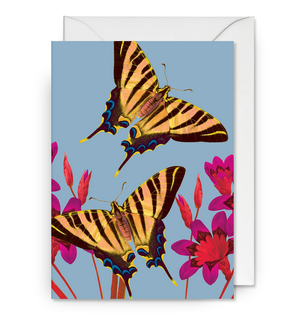 Ixia Butterfly Greeting Card