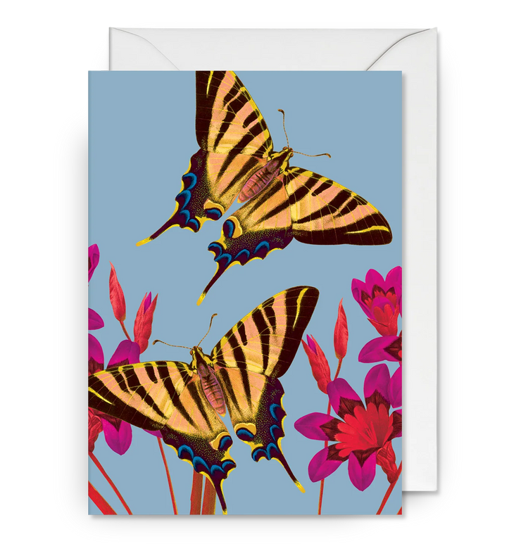 Ixia Butterfly Greeting Card