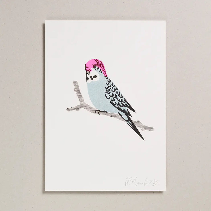 Petra Boase A4 Risograph Print - Blue Budgie