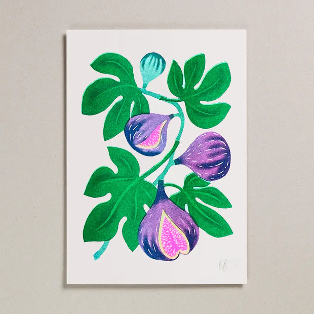 Petra Boase A4 Risograph Print - Figs
