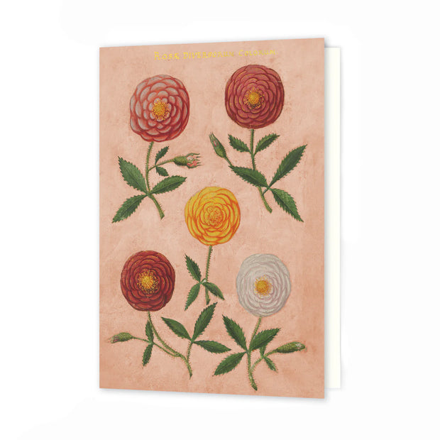 Roomytown Greeting Cards - Pink Festival Of Flowers