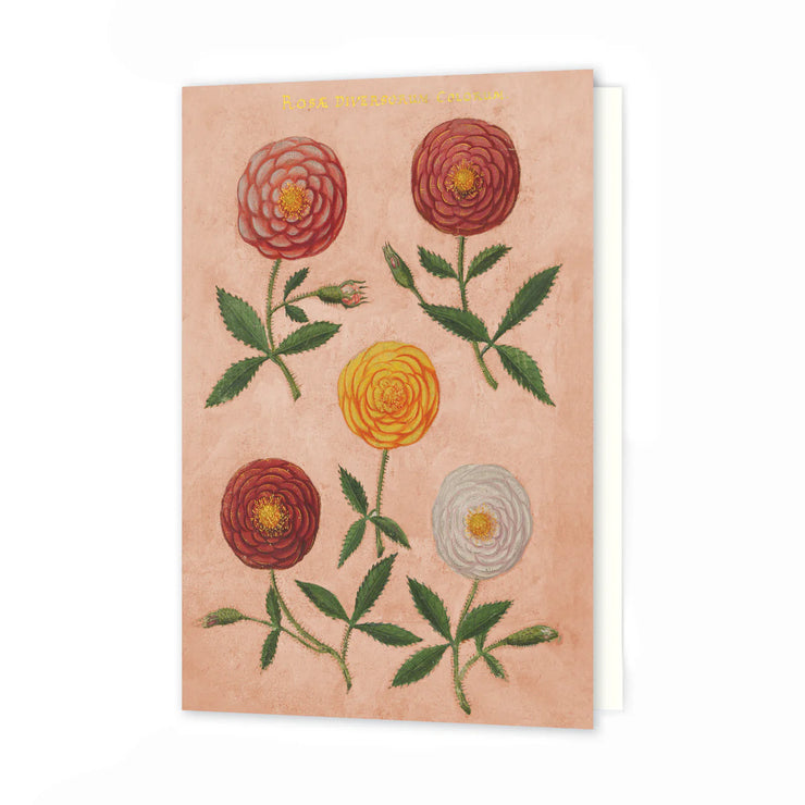 Roomytown Greeting Cards - Pink Festival Of Flowers