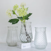 Dion Bottle Vases - Assorted Designs