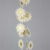 A World of Craft Garland - Falling Stars