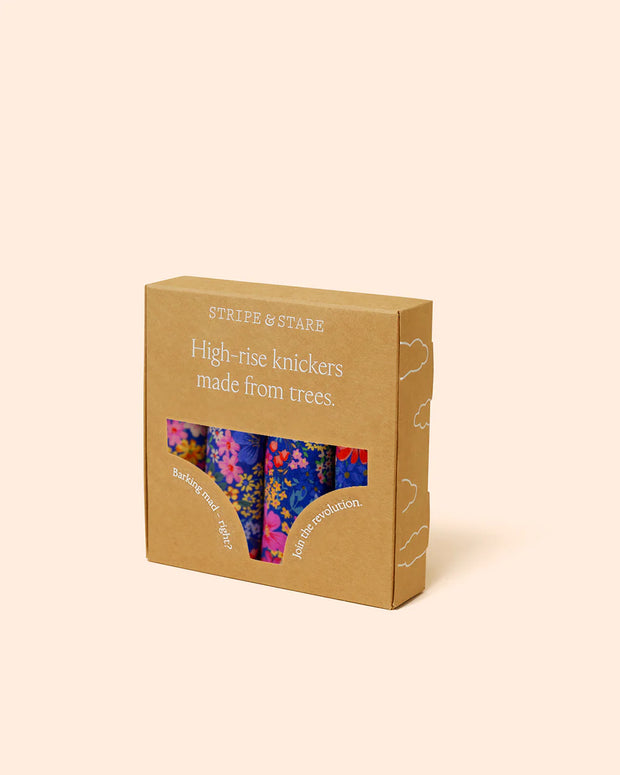 Stripe & Stare High Rise Knickers Box of 4 - Full Bloom