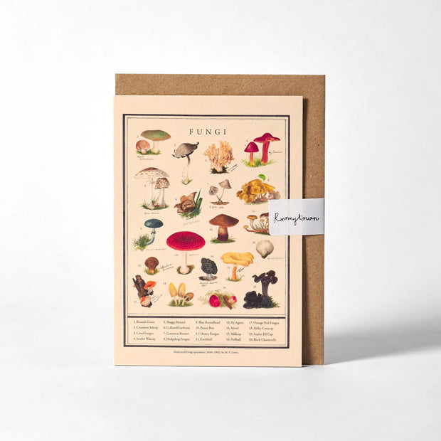 Roomytown Greeting Cards - Fungi