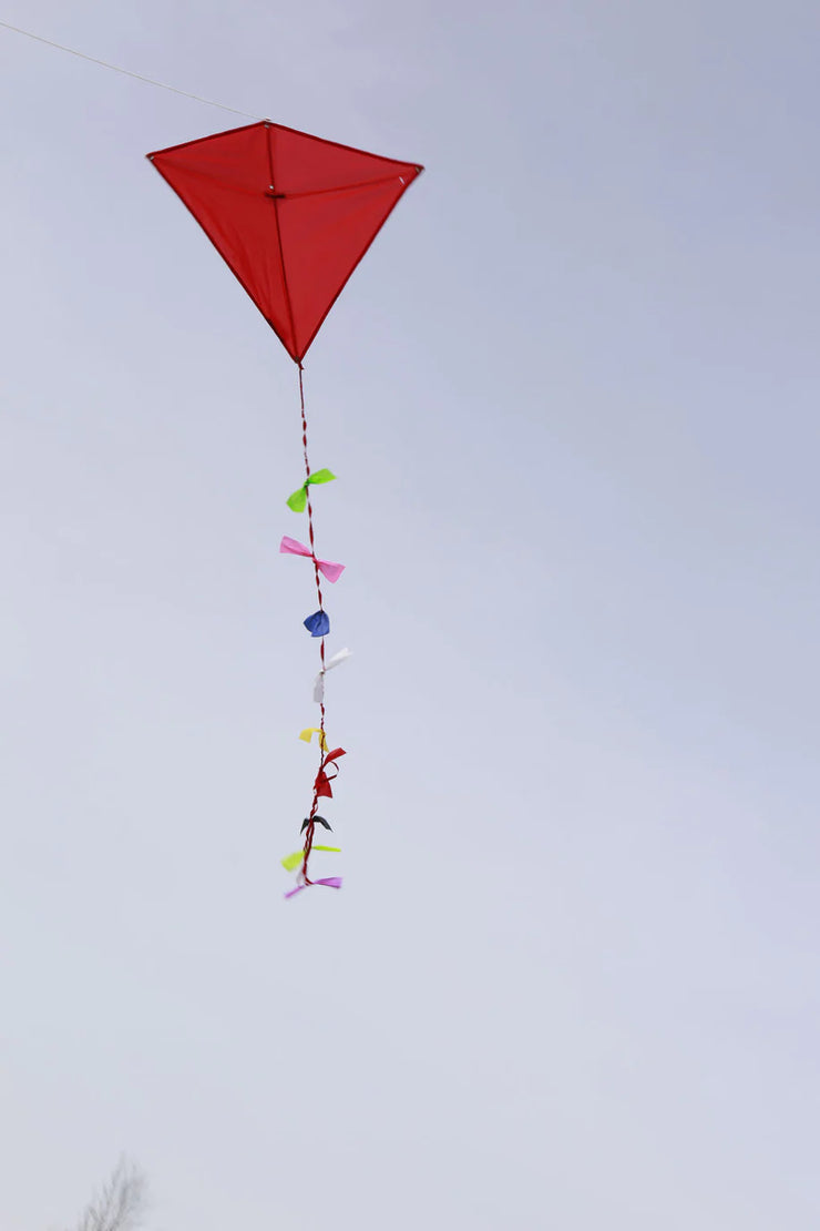 Huckleberry Kite
