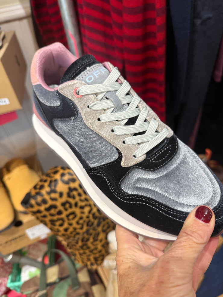 Hoff City Sapphire Trainer