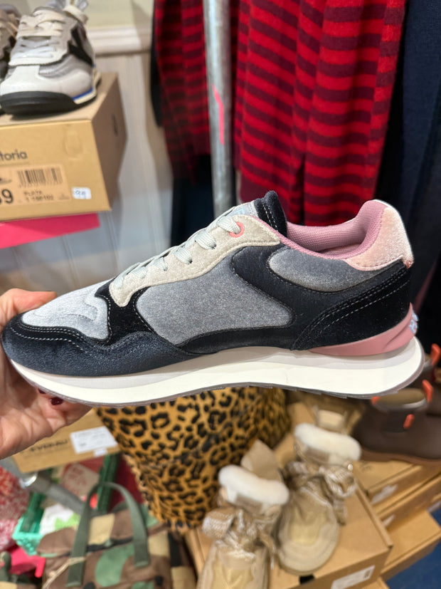 Hoff City Sapphire Trainer