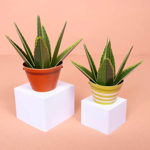 Make Your Own Aloe Vera Mini Paper Plant Kit