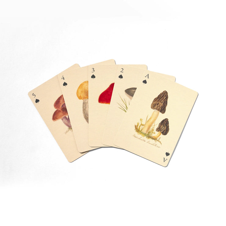 Roomytown Playing Cards Set of 2 - Fungi