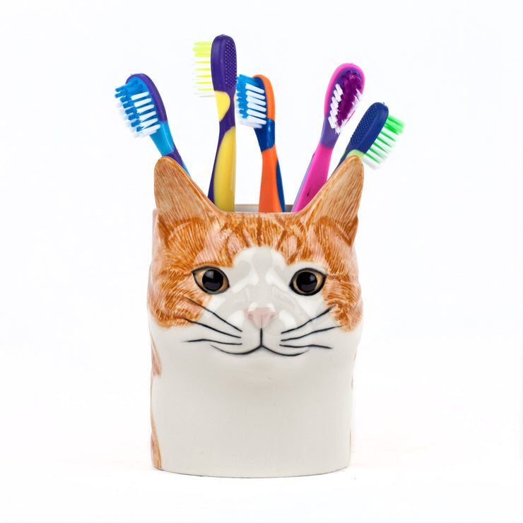 Animal Pencil Pots - Squash The Cat