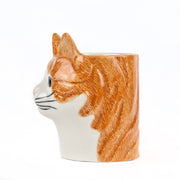 Animal Pencil Pots - Squash The Cat