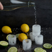 Gentlemen's Hardware Ice Shot Glass Moulds