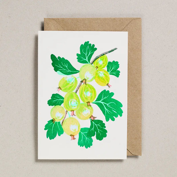 Petra Boase Grow Cards