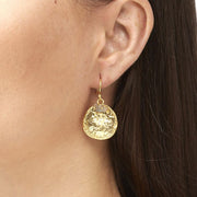 Ashiana Solange Earrings in Laboradite