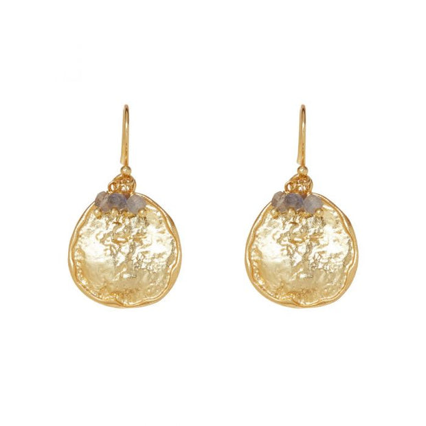 Ashiana Solange Earrings in Laboradite