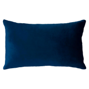 Rectangle Needlepoint Cushion - Netflix and Chill