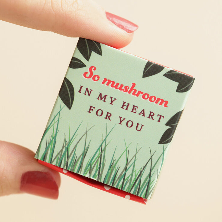 Tiny Matchbox Ceramic Tokens - Mushroom