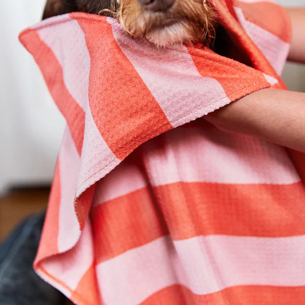 Dog & Bay Dog Towels