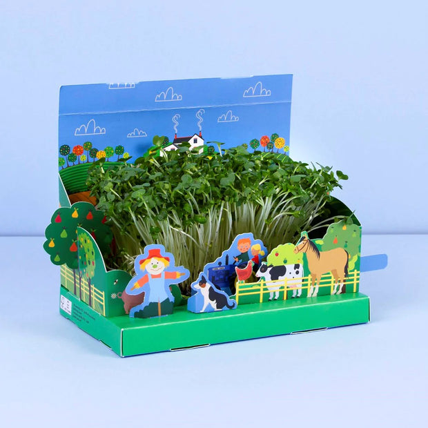 Create Your Own Mini Farmyard Garden