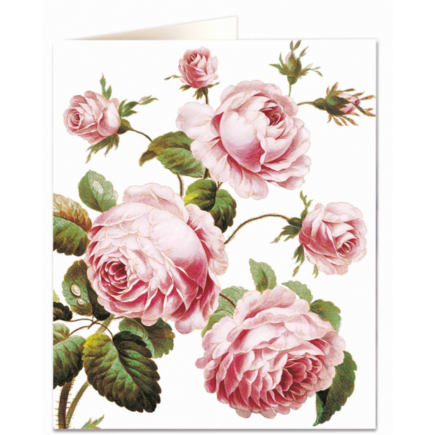 Archivist Cabbage Rose Card
